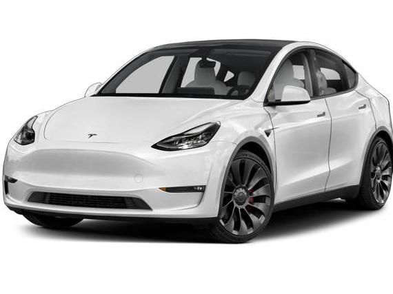 TESLA MODEL Y 2020 5YJYGDEE2LF039320 image